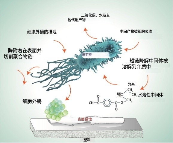 PLA、PBAT、淀粉基等生物降解材料性能对比示意图